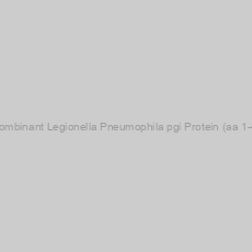 Image of Recombinant Legionella Pneumophila pgi Protein (aa 1-499)